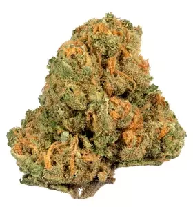 Jack Herer Strain for Sale
