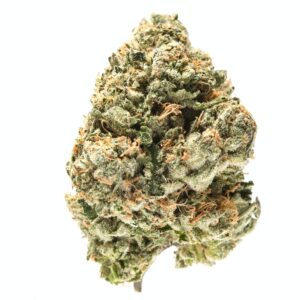 Buy blue guava cannabis strain