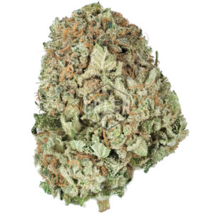 Buy 9 Pound Hammer Strain Online