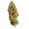 amnesia haze for sale