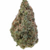 buy acapulco gold online