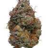 Buy blackberry kush online