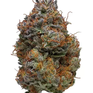 Buy blackberry kush online