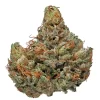 Buy master kush online