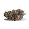 Where to buy purple punch strain
