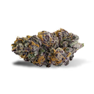 Where to buy purple punch strain