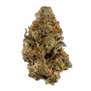 Buy truffle butter strain