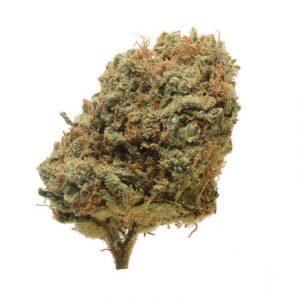 Critical mass for sale near me