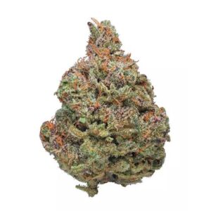 buy black afghan strain online