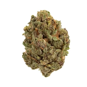 Purple octane strain