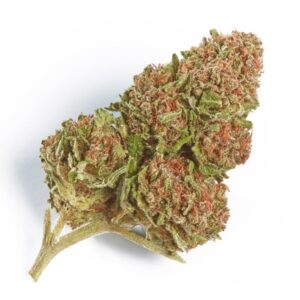 Buy northern lights strain online