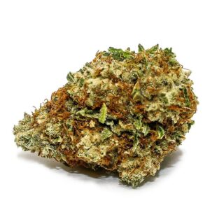 buy sensi star online