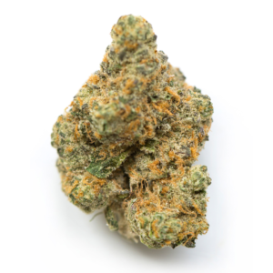 buy moby dick marijuana strain