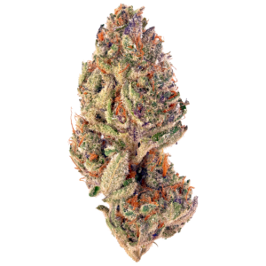 Where can i buy slurricane