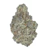 buy white durban online
