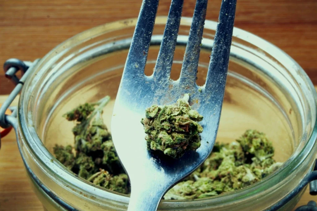 7 REASONS WHY EATING WEED IS ACTUALLY GOOD FOR YOUR HEALTH