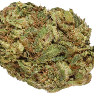 Georgia Runtz #5 Strain