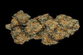 Black Domina Strain