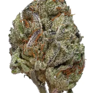 Black Ice Weed Strain