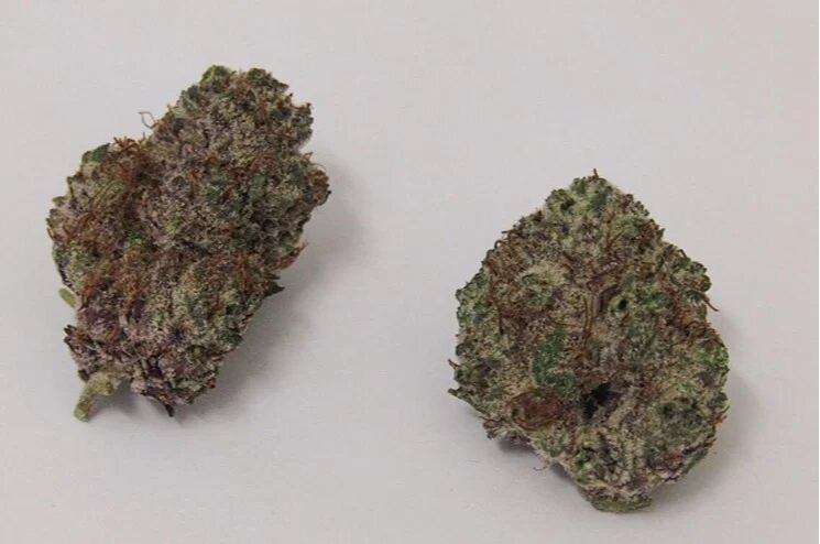 Black Mamba Strain For Sale