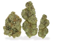 Buy-Sativa-Online