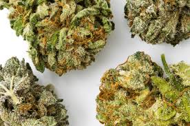 Buy Strong Weed Strains