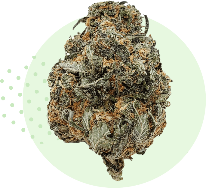 Buy Weed From California Online