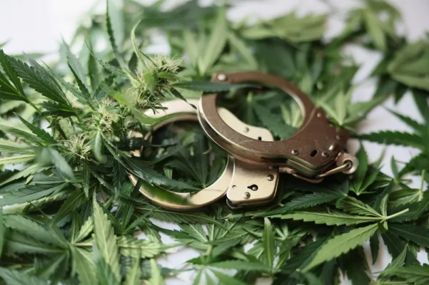 Buy Weed Online Ship Anywhere