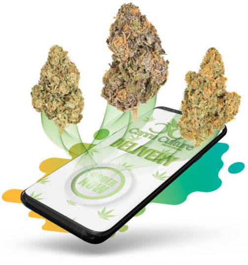 California Weed Delivery All States