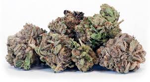 Cannabis For Sale Near Me