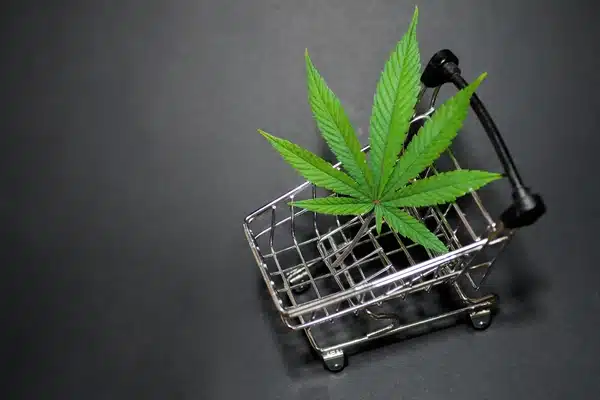 Fast Cannabis Delivery