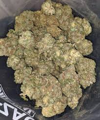 Gorilla Glue 2 Strain