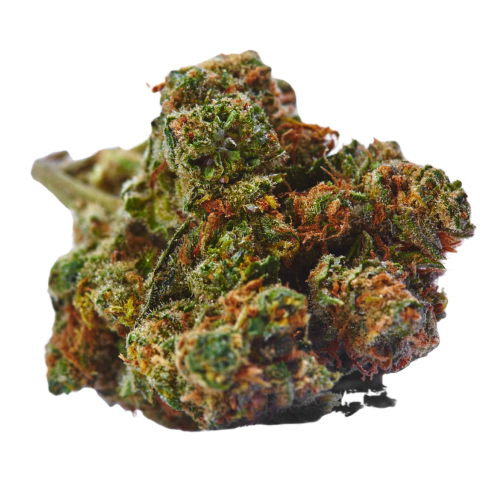 Ice Cream Cookies Strain