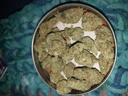 Malibu Pure Kush Strain