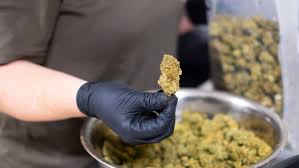 Online Dispensary Usa