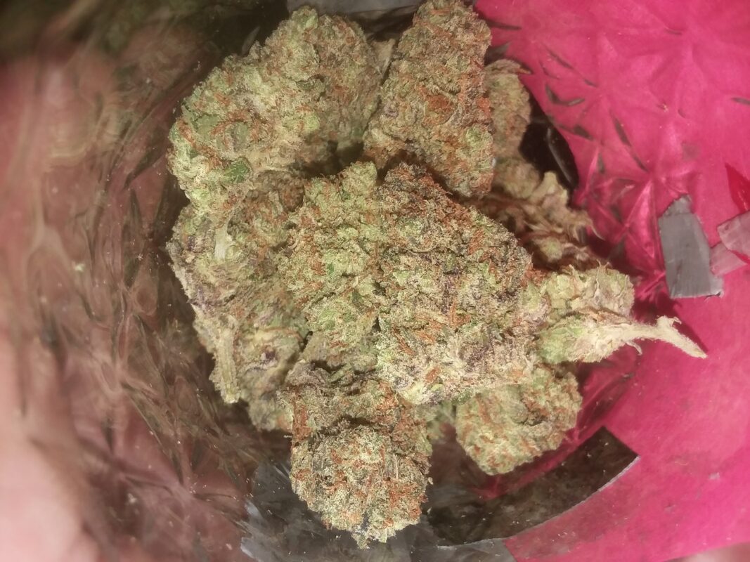 Strawberry Shortcake Strain