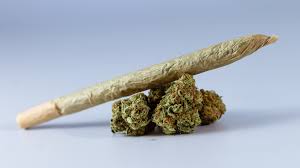 Trusted Weed Delivery