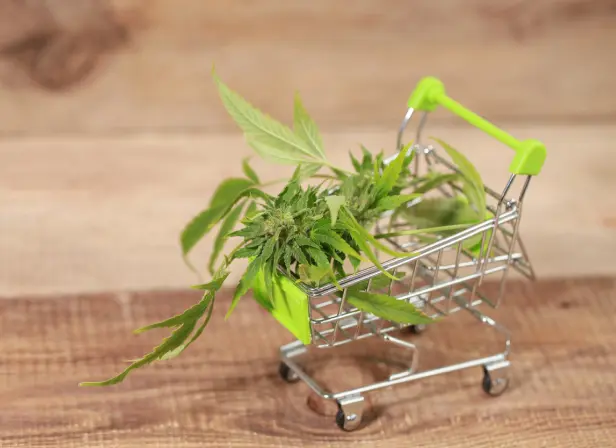 Weed Delivery Open Now